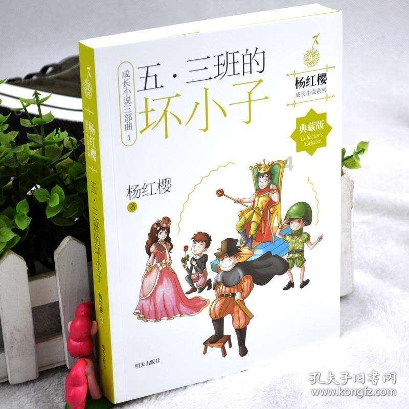 植物大战僵尸18